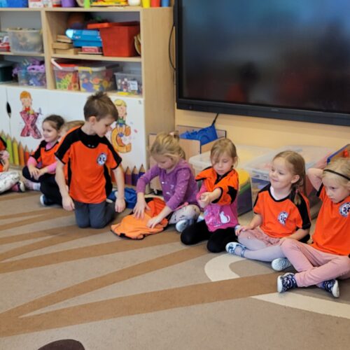 IMG-20231030-WA0002