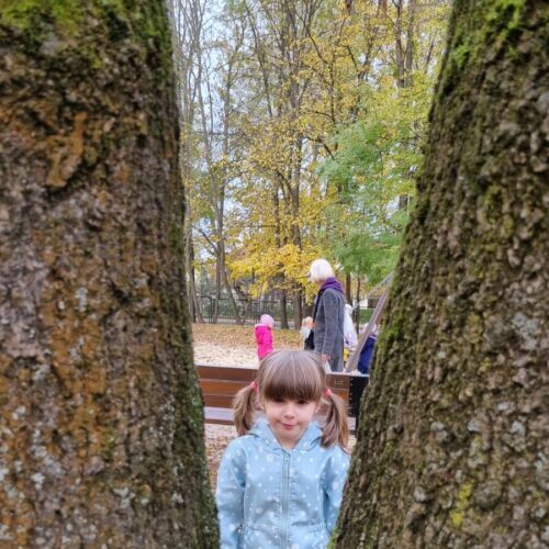 IMG-20241029-WA0020