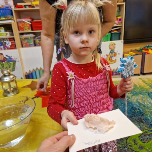 IMG-20241129-WA0030