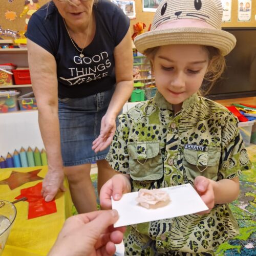 IMG-20241129-WA0036