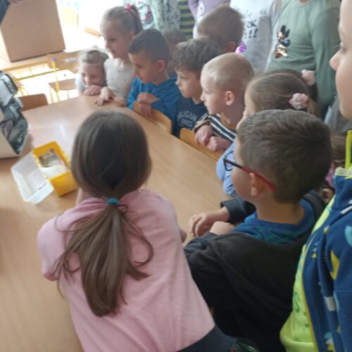 IMG-20250325-WA0022