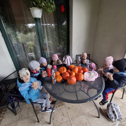 IMG-20250929-WA0008