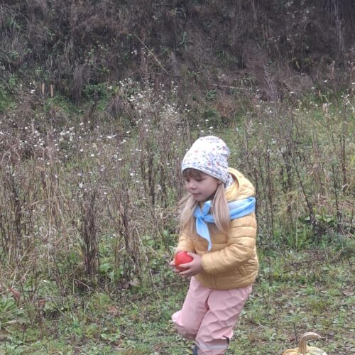 IMG-20250929-WA0038