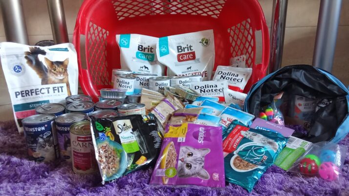 <strong><em>ZAKOŃCZENIE ZBIÓRKI „PSIA ŁAPA, KOCI PAZUR 2025”</em></strong>