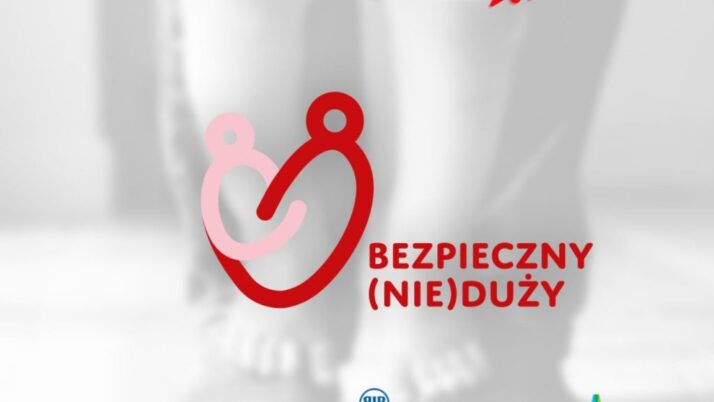 Projekt „Bezpieczny (Nie) Duży”