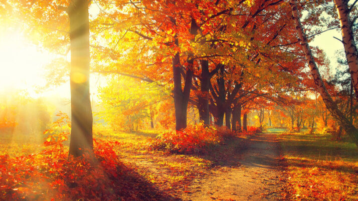 Zamierzenia dydaktyczno- wychowawcze na miesiąc październik dla grupy niebieskie smoki.