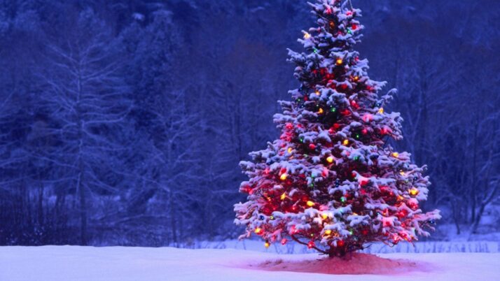 ZAMIERZENIA DYDAKTYCZNO_ WYCHOWAWCZE NA MIESIĄC GRUDZIEŃ- Granatowe Smoki