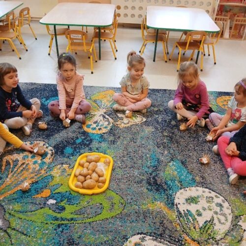 .pending-1762785334-image000000