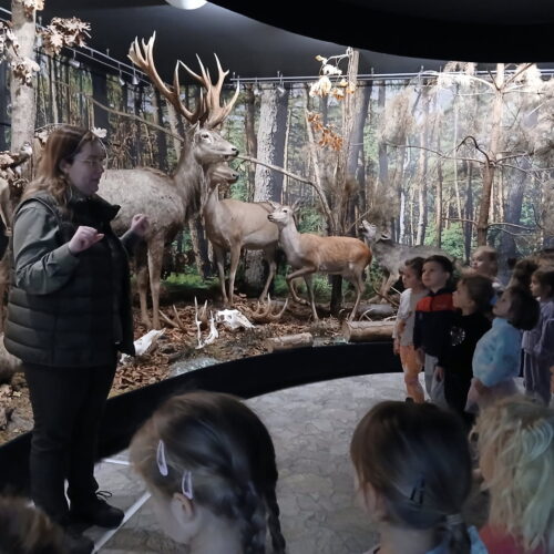 IMG_20251218_130320 (1)