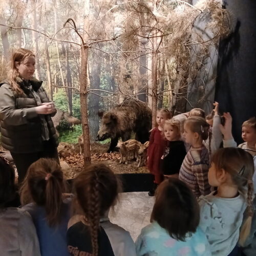 IMG_20251218_130320 (2)