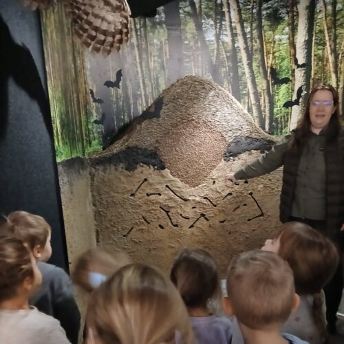 IMG_20251218_130325 (1)