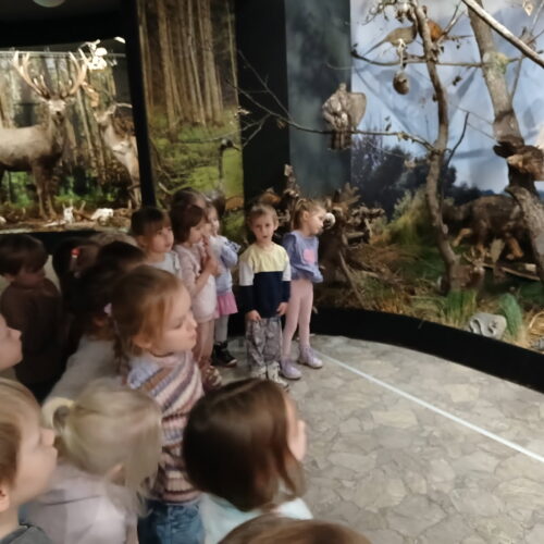 IMG_20251218_130325 (5)