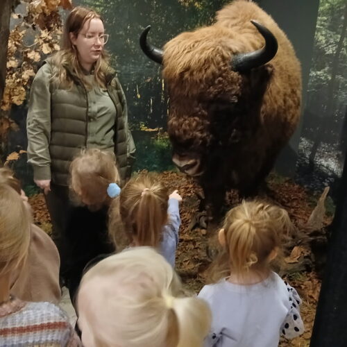 IMG_20251218_130325 (7)