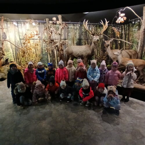 IMG_20251218_130325 (9)