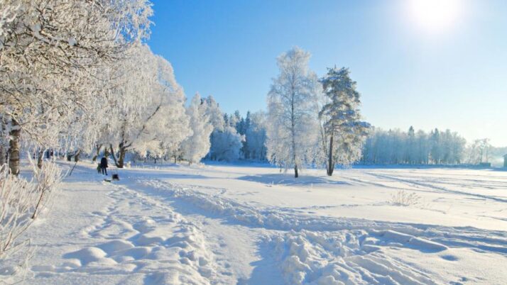 Zamierzenia wychowawczo – dydaktyczne na miesiąc Styczeń 2026 Czerwone Smoki.