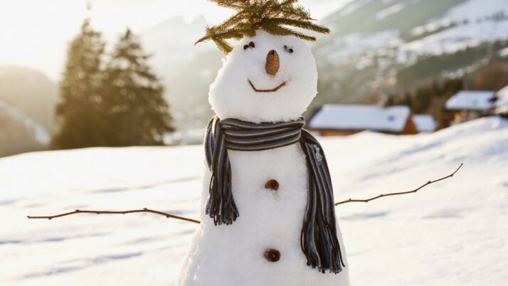 ZAMIERZENIA DYDAKTYCZNO-WYCHOWAWCZE na miesiąc STYCZEŃ- Granatowe Smoki