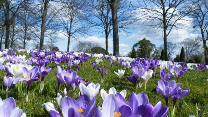 Zamierzenia wychowawczo – dydaktyczne na miesiąc Kwiecień 2026 Czerwone Smoki.